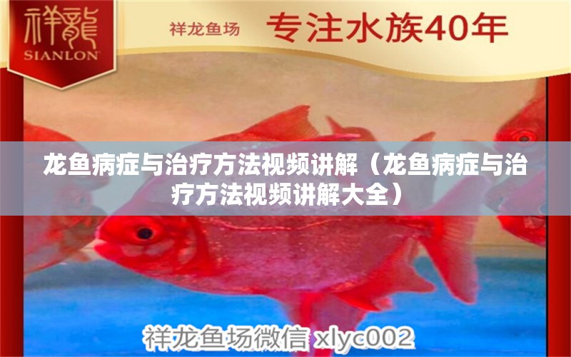 龍魚病癥與治療方法視頻講解（龍魚病癥與治療方法視頻講解大全）