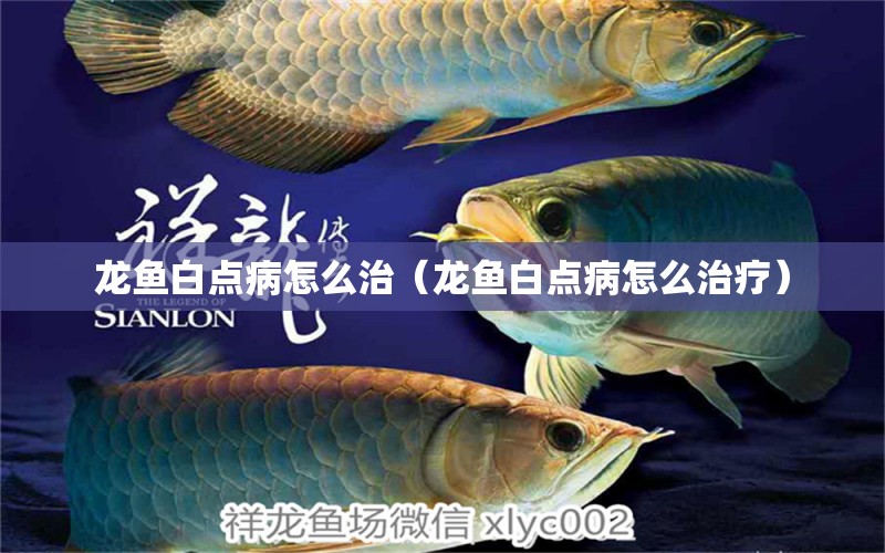 龍魚白點(diǎn)病怎么治（龍魚白點(diǎn)病怎么治療）