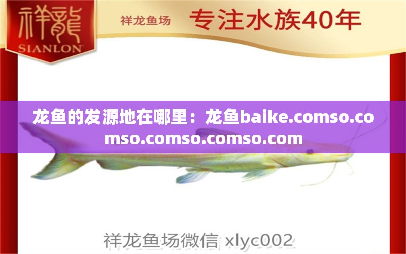 龍魚的發(fā)源地在哪里：龍魚baike.comso.comso.comso.comso.com