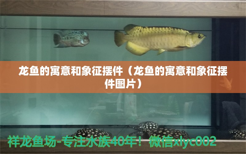 龍魚的寓意和象征擺件（龍魚的寓意和象征擺件圖片） 祥龍水族醫(yī)院