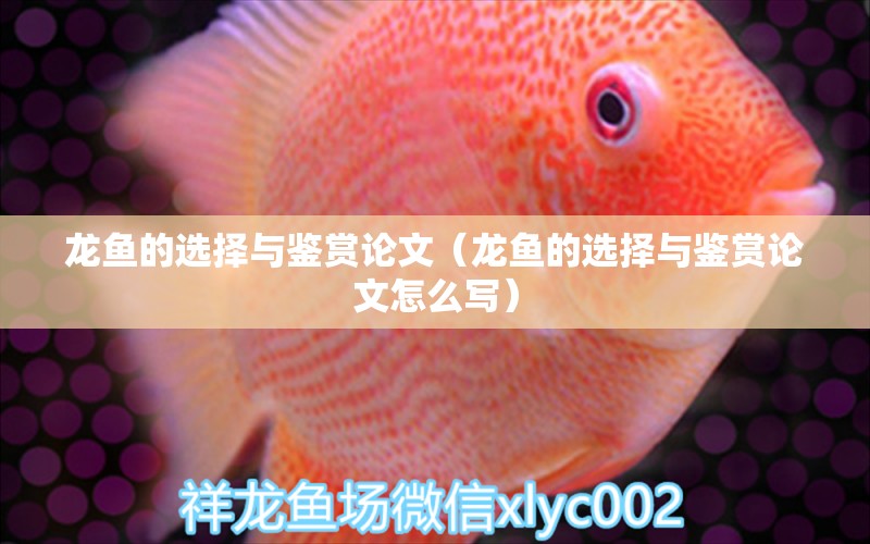 龍魚的選擇與鑒賞論文（龍魚的選擇與鑒賞論文怎么寫） 龍魚疾病與治療