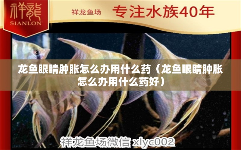 龍魚眼睛腫脹怎么辦用什么藥（龍魚眼睛腫脹怎么辦用什么藥好） 玫瑰銀版魚