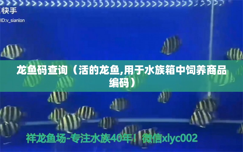 龍魚碼查詢（活的龍魚,用于水族箱中飼養(yǎng)商品編碼） 魚缸/水族箱