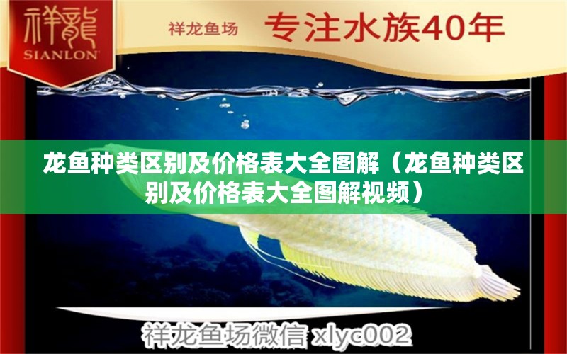 龍魚種類區(qū)別及價格表大全圖解（龍魚種類區(qū)別及價格表大全圖解視頻）