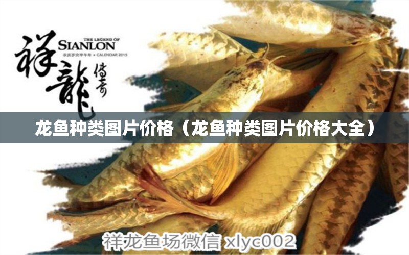 龍魚種類圖片價格（龍魚種類圖片價格大全）