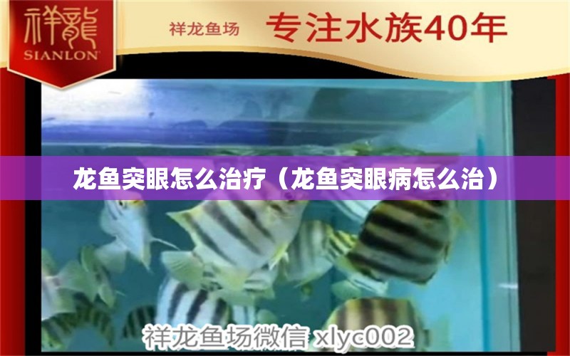 龍魚突眼怎么治療（龍魚突眼病怎么治）