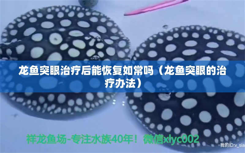 龍魚(yú)突眼治療后能恢復(fù)如常嗎（龍魚(yú)突眼的治療辦法）