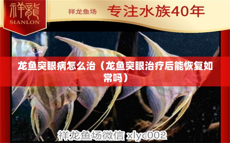 龍魚(yú)突眼病怎么治（龍魚(yú)突眼治療后能恢復(fù)如常嗎）