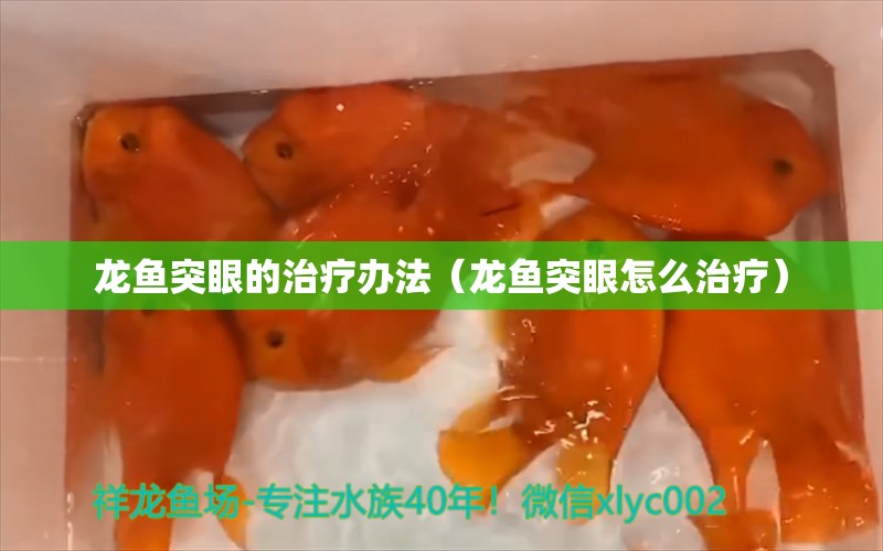 龍魚突眼的治療辦法（龍魚突眼怎么治療） 廣州龍魚批發(fā)市場