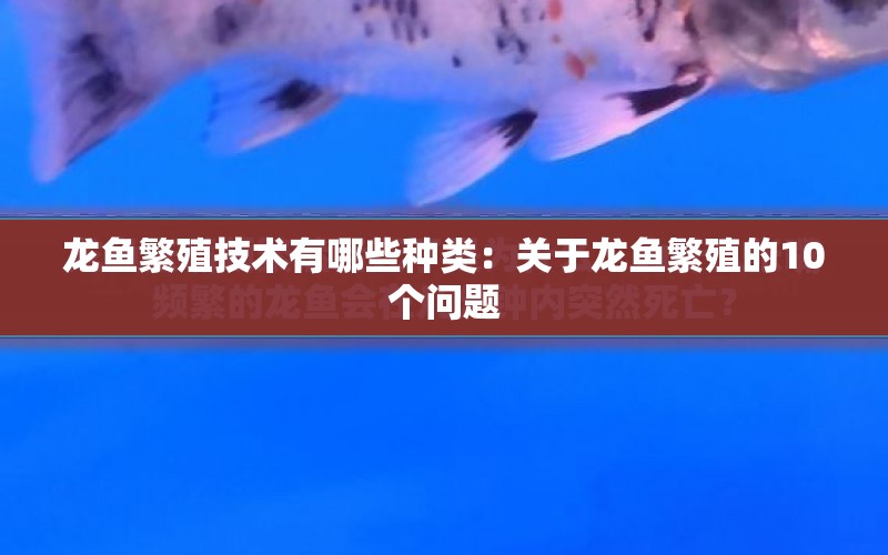 龍魚(yú)繁殖技術(shù)有哪些種類(lèi)：關(guān)于龍魚(yú)繁殖的10個(gè)問(wèn)題 水族問(wèn)答 第1張