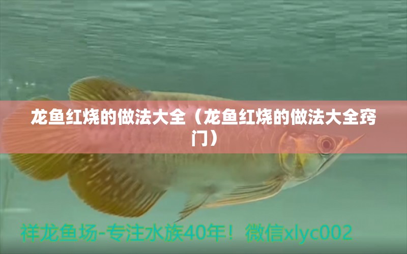 龍魚(yú)紅燒的做法大全（龍魚(yú)紅燒的做法大全竅門(mén)）