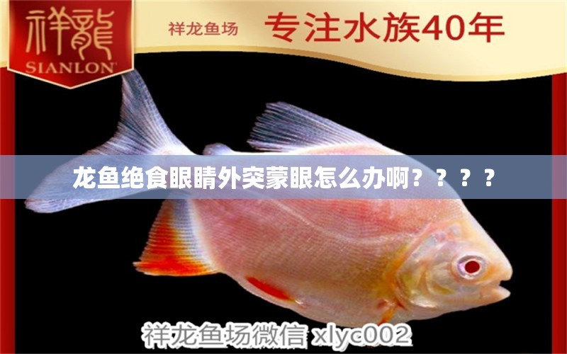 龍魚(yú)絕食眼睛外突蒙眼怎么辦啊？？？？