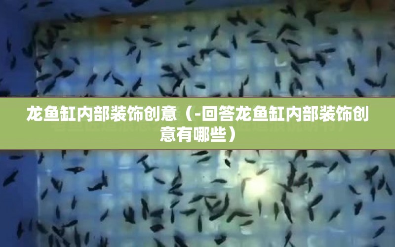 龍魚缸內(nèi)部裝飾創(chuàng)意（-回答龍魚缸內(nèi)部裝飾創(chuàng)意有哪些） 水族問答 第1張