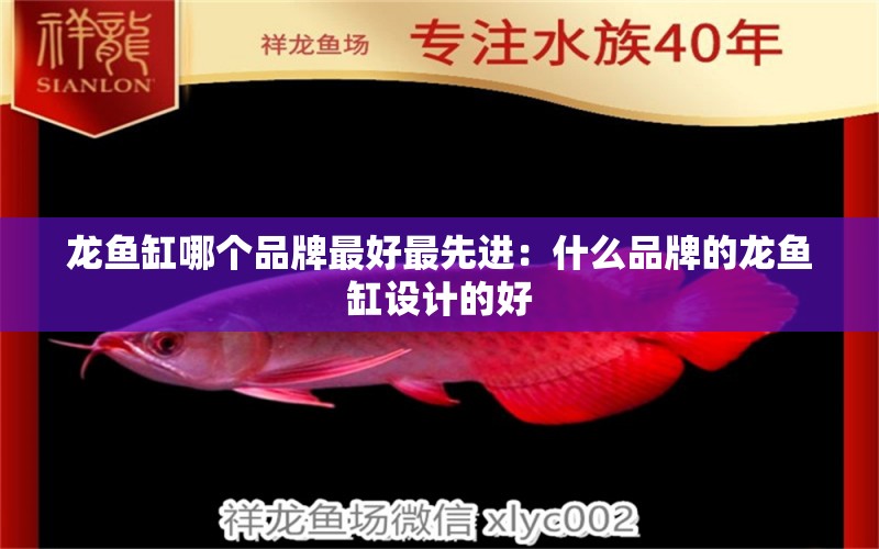 龍魚缸哪個(gè)品牌最好最先進(jìn)：什么品牌的龍魚缸設(shè)計(jì)的好 廣州龍魚批發(fā)市場