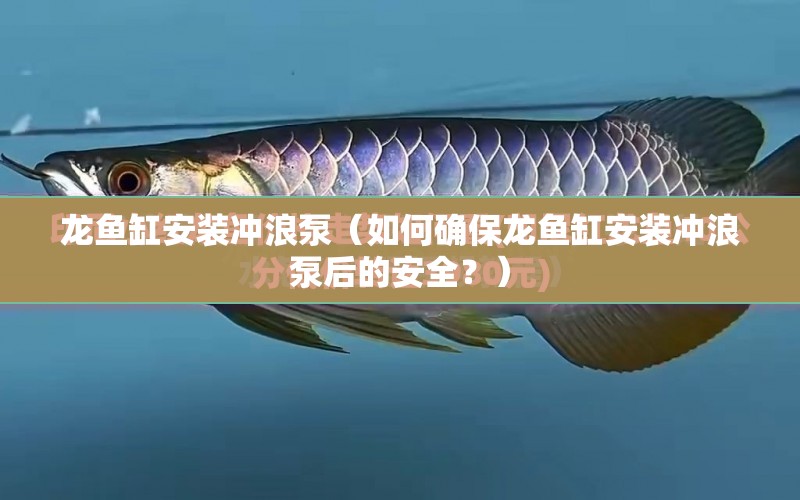 龍魚缸安裝沖浪泵（如何確保龍魚缸安裝沖浪泵后的安全？） 水族問答 第1張