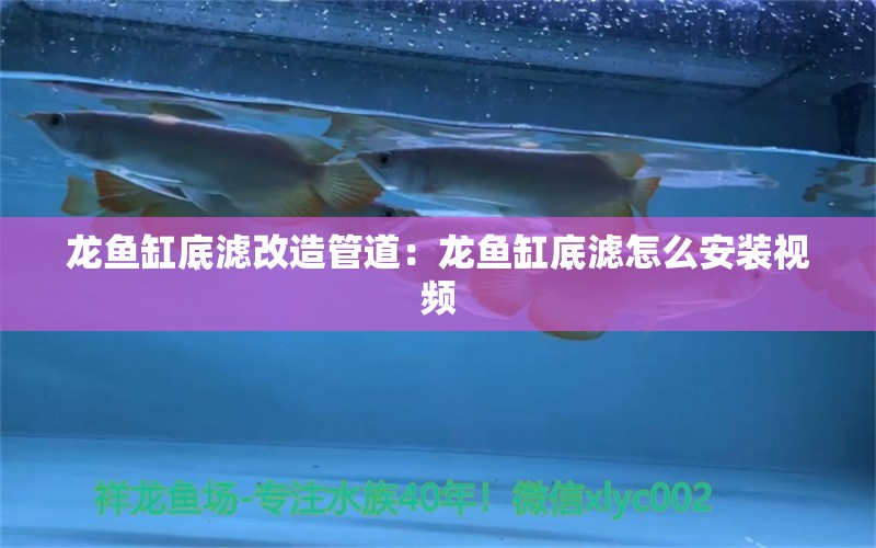 龍魚缸底濾改造管道：龍魚缸底濾怎么安裝視頻