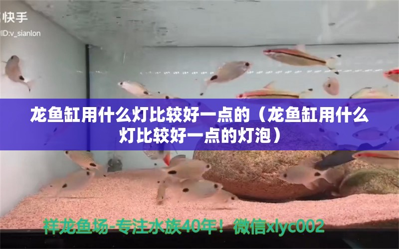 龍魚缸用什么燈比較好一點的（龍魚缸用什么燈比較好一點的燈泡）