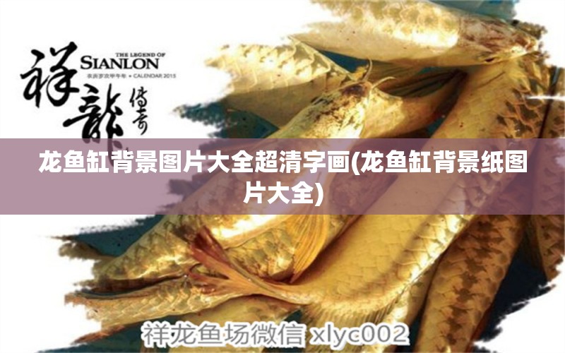 龍魚缸背景圖片大全超清字畫(龍魚缸背景紙圖片大全) 魚缸/水族箱