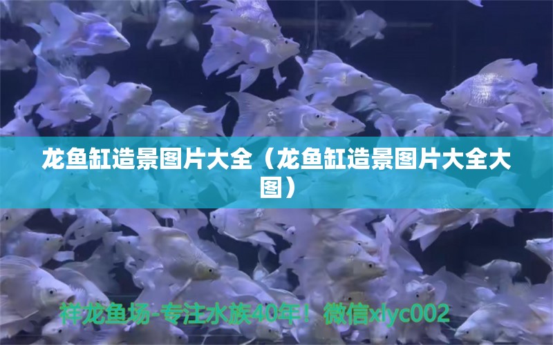 龍魚缸造景圖片大全（龍魚缸造景圖片大全大圖）