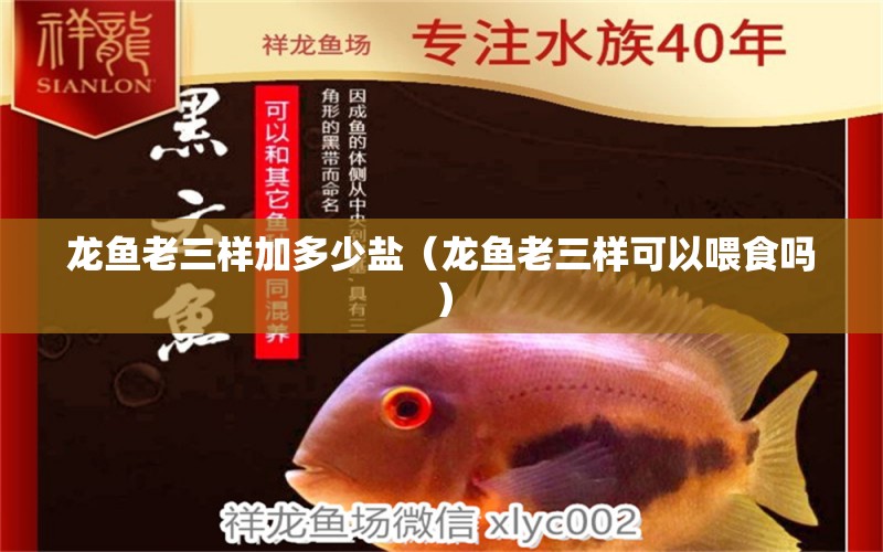 龍魚老三樣加多少鹽（龍魚老三樣可以喂食嗎） 龍魚疾病與治療