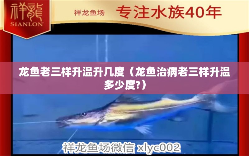 龍魚老三樣升溫升幾度（龍魚治病老三樣升溫多少度?） 龍魚疾病與治療