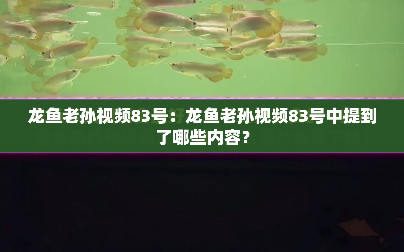 龍魚老孫視頻83號：龍魚老孫視頻83號中提到了哪些內(nèi)容？ 水族問答