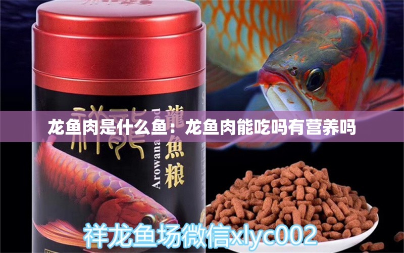 龍魚肉是什么魚：龍魚肉能吃嗎有營養(yǎng)嗎 廣州水族批發(fā)市場