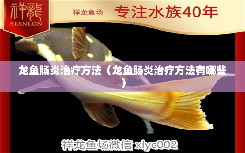 龍魚腸炎治療方法（龍魚腸炎治療方法有哪些） 龍魚疾病與治療