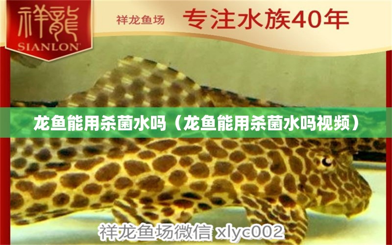 龍魚能用殺菌水嗎（龍魚能用殺菌水嗎視頻） 廣州龍魚批發(fā)市場(chǎng)