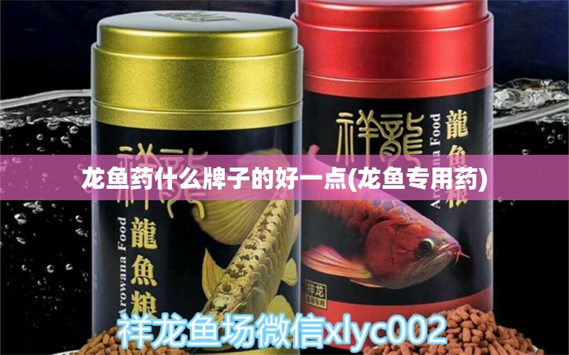 龍魚藥什么牌子的好一點(diǎn)(龍魚專用藥)