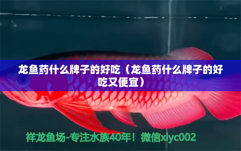 龍魚藥什么牌子的好吃（龍魚藥什么牌子的好吃又便宜） 龍魚疾病與治療