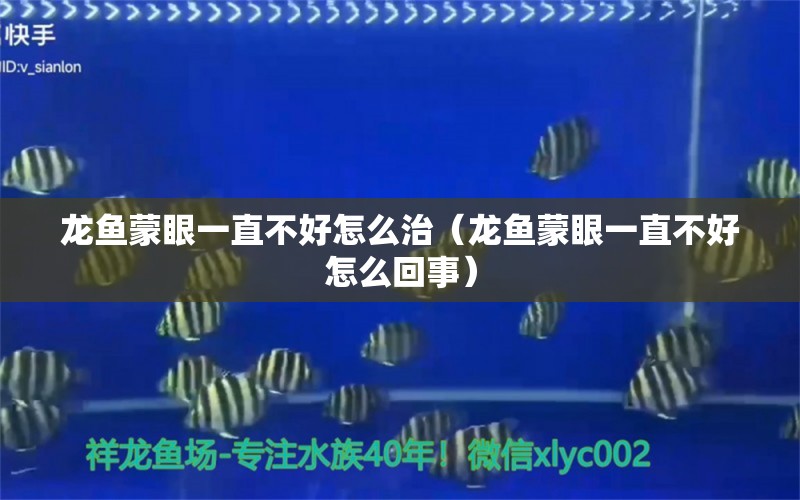 龍魚蒙眼一直不好怎么治（龍魚蒙眼一直不好怎么回事）