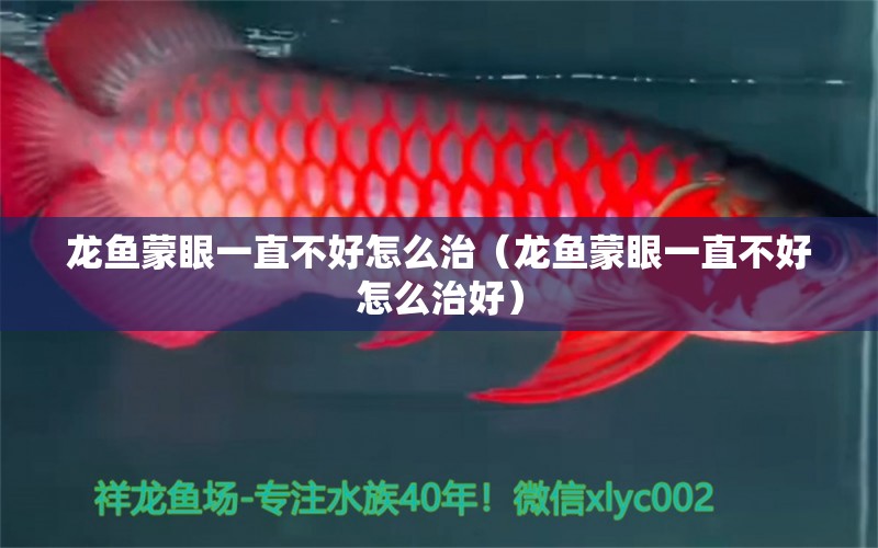 龍魚蒙眼一直不好怎么治（龍魚蒙眼一直不好怎么治好）