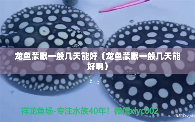 龍魚蒙眼一般幾天能好（龍魚蒙眼一般幾天能好?。? title=