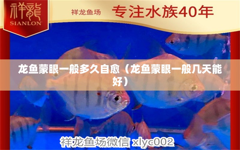 龍魚蒙眼一般多久自愈（龍魚蒙眼一般幾天能好）