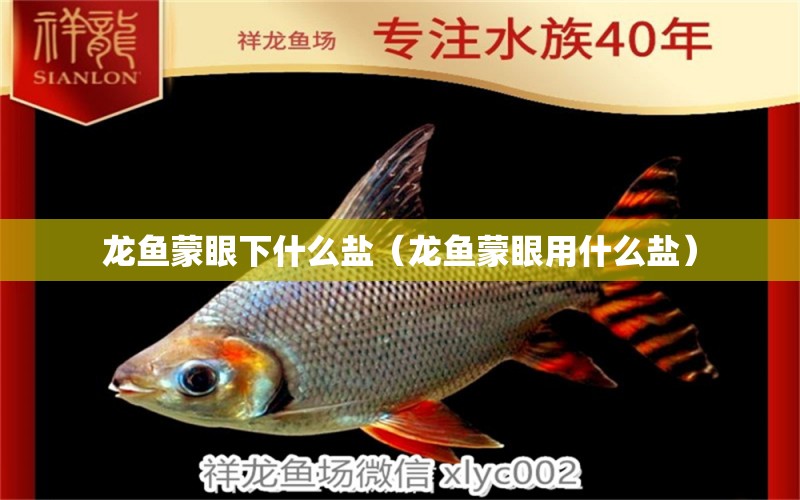 龍魚蒙眼下什么鹽（龍魚蒙眼用什么鹽） 廣州龍魚批發(fā)市場