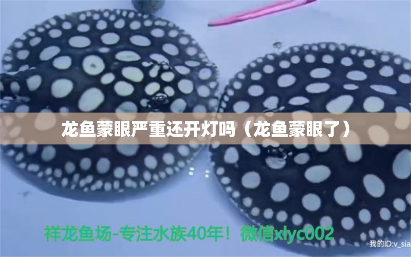 龍魚蒙眼嚴重還開燈嗎（龍魚蒙眼了）