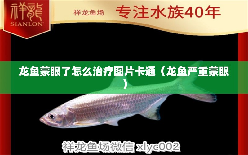 龍魚(yú)蒙眼了怎么治療圖片卡通（龍魚(yú)嚴(yán)重蒙眼）