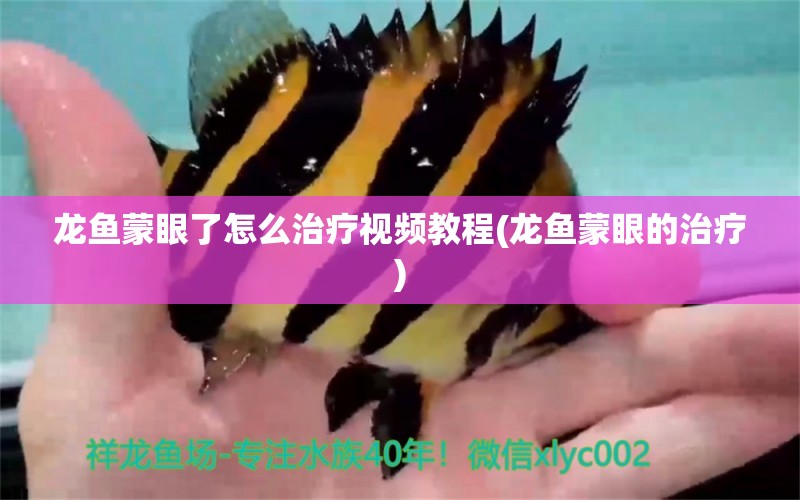 龍魚蒙眼了怎么治療視頻教程(龍魚蒙眼的治療) 魚缸等水族設(shè)備