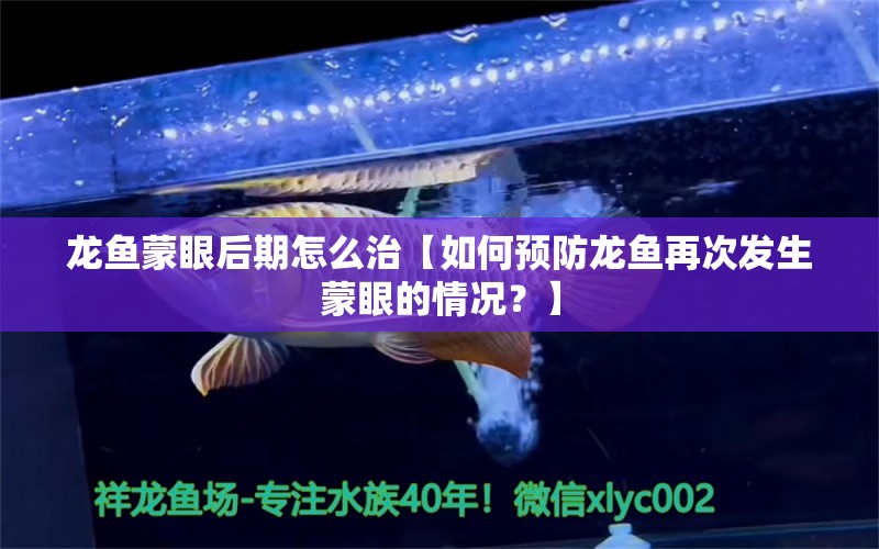 龍魚蒙眼后期怎么治【如何預(yù)防龍魚再次發(fā)生蒙眼的情況？】 水族問答 第2張