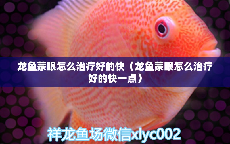 龍魚(yú)蒙眼怎么治療好的快（龍魚(yú)蒙眼怎么治療好的快一點(diǎn)） 廣州龍魚(yú)批發(fā)市場(chǎng)