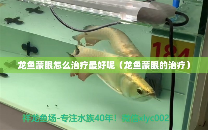 龍魚蒙眼怎么治療最好呢（龍魚蒙眼的治療）