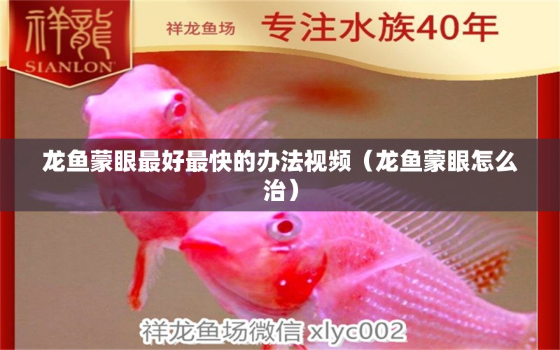 龍魚蒙眼最好最快的辦法視頻（龍魚蒙眼怎么治）