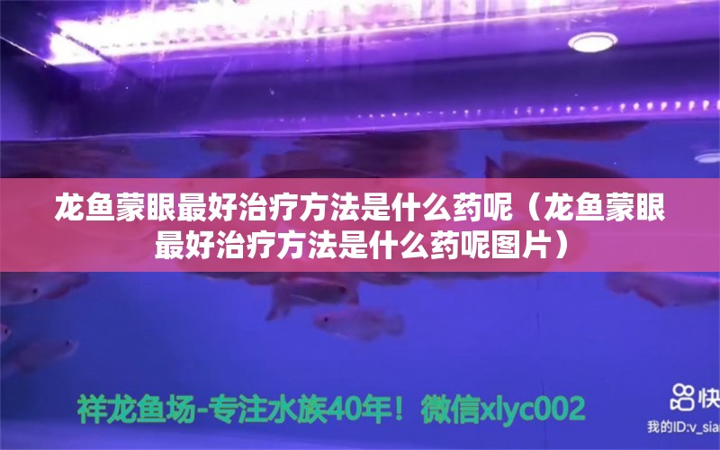 龍魚蒙眼最好治療方法是什么藥呢（龍魚蒙眼最好治療方法是什么藥呢圖片） 廣州龍魚批發(fā)市場