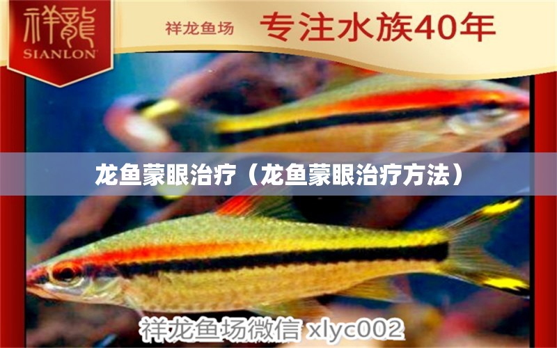 龍魚蒙眼治療（龍魚蒙眼治療方法）