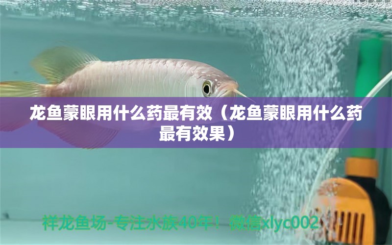 龍魚蒙眼用什么藥最有效（龍魚蒙眼用什么藥最有效果）