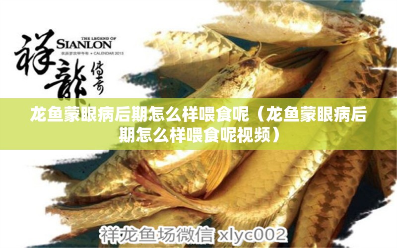 龍魚蒙眼病后期怎么樣喂食呢（龍魚蒙眼病后期怎么樣喂食呢視頻）