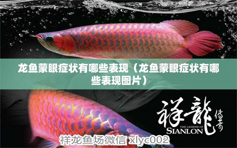 龍魚蒙眼癥狀有哪些表現(xiàn)（龍魚蒙眼癥狀有哪些表現(xiàn)圖片）