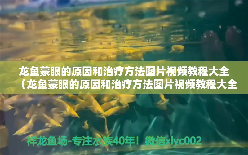 龍魚蒙眼的原因和治療方法圖片視頻教程大全（龍魚蒙眼的原因和治療方法圖片視頻教程大全集）