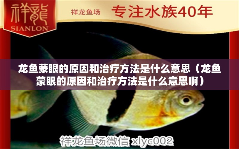 龍魚蒙眼的原因和治療方法是什么意思（龍魚蒙眼的原因和治療方法是什么意思?。?觀賞魚